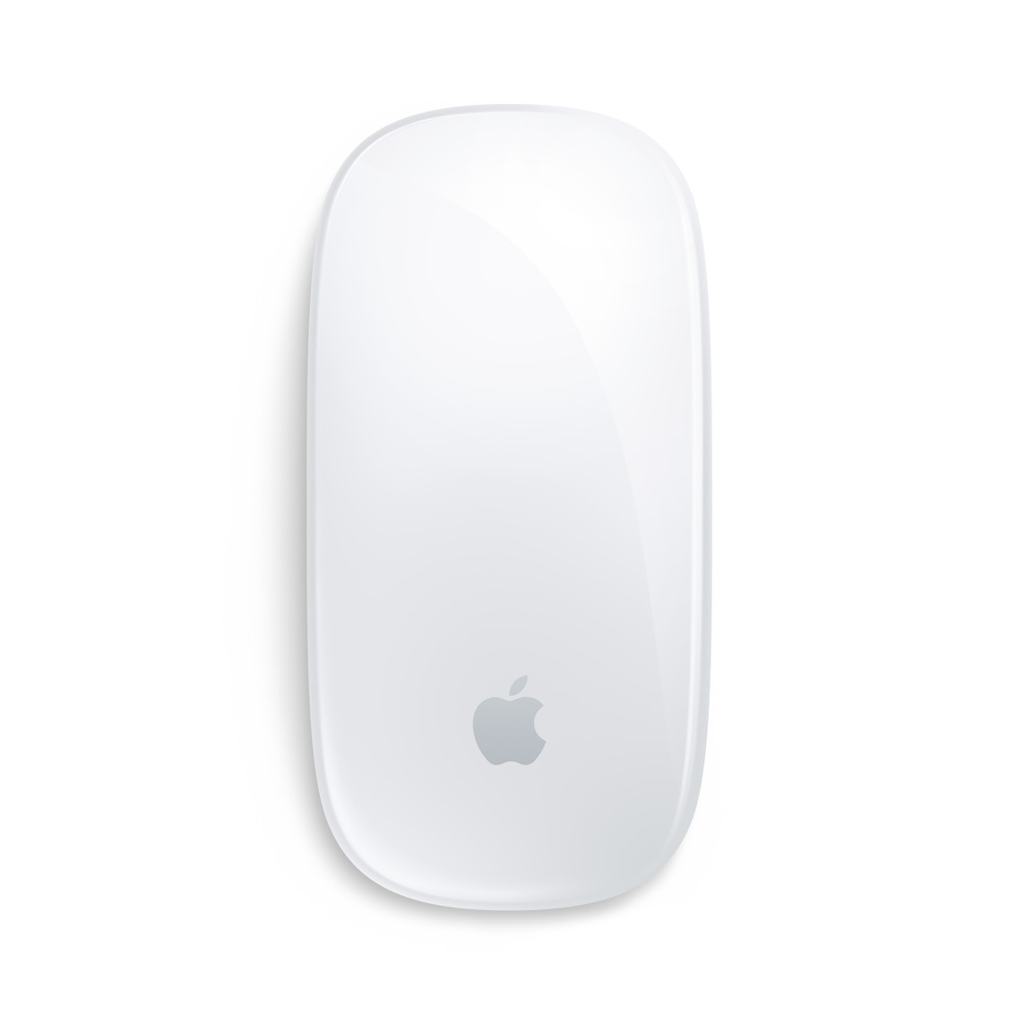 [MXK53KH/A] Magic Mouse(USB-C) - 화이트 Multi-Touch 표면