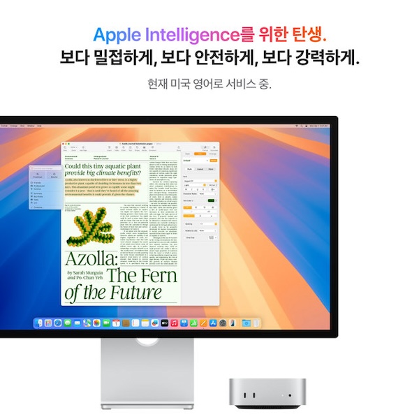 CTO / M4 / 10코어 CPU / 10코어 GPU / 16GB 메모리 / 256GB SSD