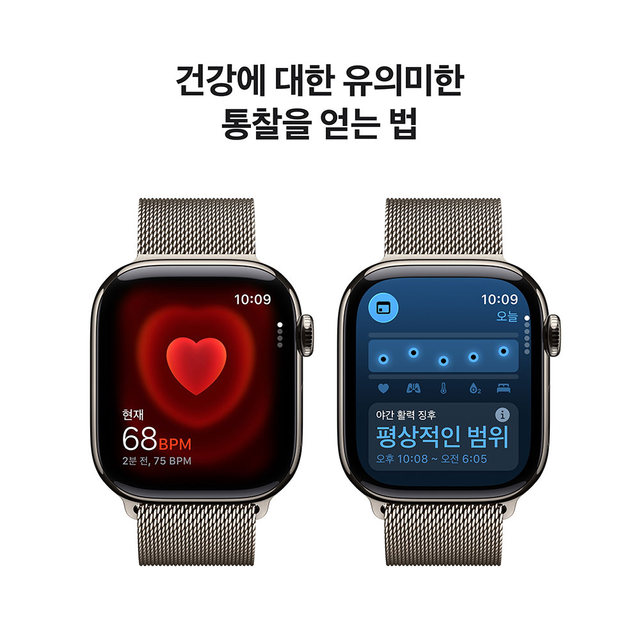 [MFD04KH/A] GPS + Cellular / 46mm / 내추럴 티타늄 / 내추럴 밀레니즈 루프 M/L