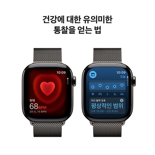 [MFD44KH/A] GPS + Cellular / 46mm / 슬레이트 티타늄 / 슬레이트 밀레니즈 루프 M/L